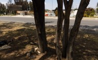 El puesto de trabajo de Alicia en la Ruta 71 se mantiene como testigo de la explosión de pipa y su valentía
