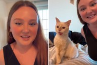 Woman Plans to Adopt Kitten, but It's Too Late