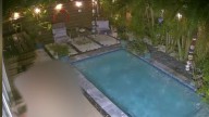 Video shows naked man at Coconut Grove backyard pulling door handle, going into pool