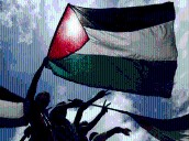 Venezuela reafirma apoyo al derecho del pueblo palestino a la autodeterminación