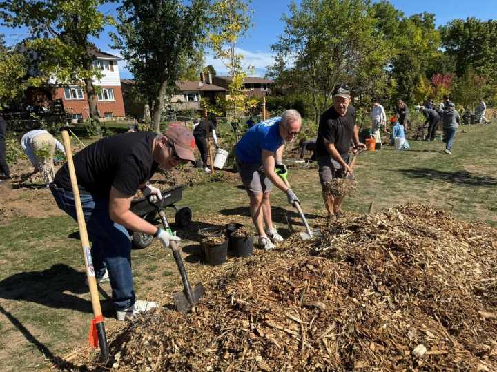 Wedgewood Park Gets Urban Forestry Makeover With Over 500 Trees Planted By Volunteers