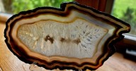 Annual Rainbow of Gems Show is this weekend