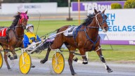 RACING 
                                          Comments
                                        
                                          Premium
                                        D Mac’