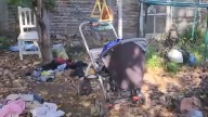Triple crimen en Florencio Varela: así es la casa donde torturaron y asesinaron a Lara, Brenda y Morena