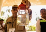 México supera los 8 mil casos de dengue; Veracruz y Jalisco concentran contagios