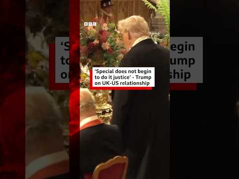 Donald Trump says "special" does not do the UK
