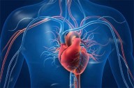 WHO warns of rising heart disease deaths in South-East Asia ahead of World Heart Day