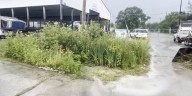 Rain garden classes coming to Clermont County