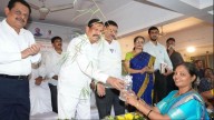 1 Lakh Bamboo Saplings To Be Planted Across Vasai-Virar For Environmental Conservation