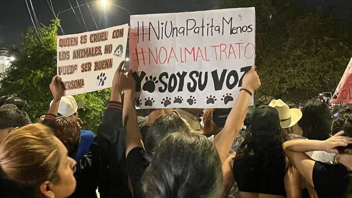 Diputados condenan represión en marcha contra maltrato animal en Santa Catarina