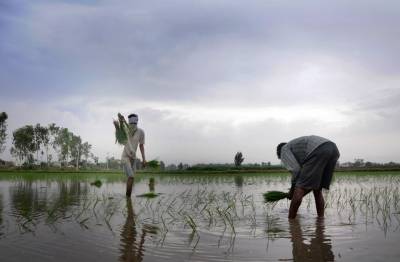 Total Area Sown In Current Kharif Season In India Crosses 1,120 Lakh Hectares