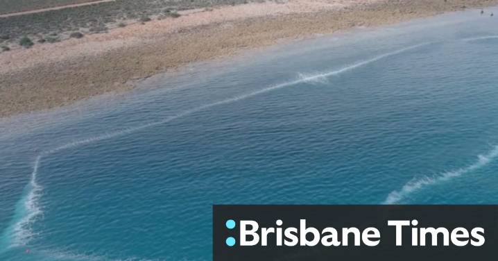 Concerns over algal bloom health advice