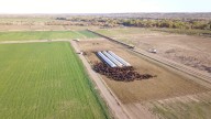Un cultivo transformó la historia de una provincia y ya ocupa 25.000 hectáreas