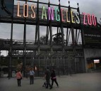 Los Angeles landmarks are lit up to celebrate 4th anniversary of LA For All campaign