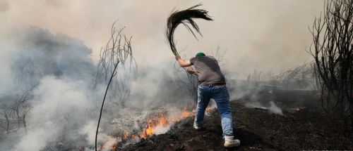 Incendios forestales deterioran calidad del aire en Europa