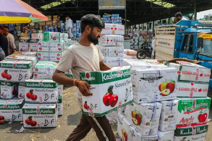 With apple crop losses, demand grows for insurance cover