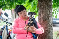 Quilmes refuerza la salud animal: así funcionarán las dos sedes de zoonosis