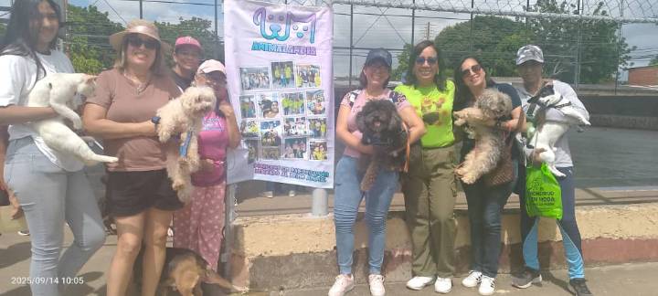 250 mascotas asistió jornada especial de Animalandia