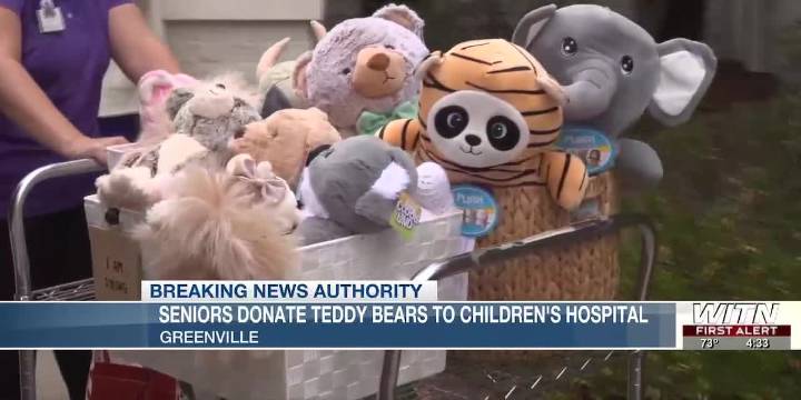 Seniors donate teddy bears to children's hospital