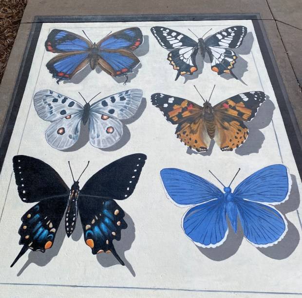 Butterflies and ‘the ground is lava’: New public art in Broomfield brings whimsy to city sidewalks