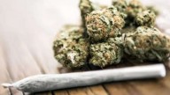 Hyderabad: Interstate drug syndicate nabbed, Rs. 6.2 cr ganja seized
