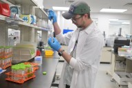 Colorado to spot-check marijuana products for contamination