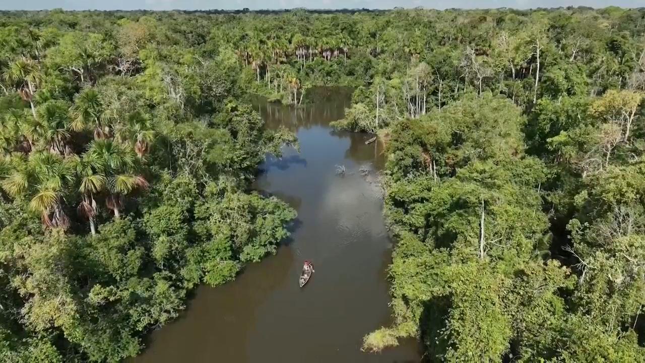 As Amazon's 'flying rivers' weaken with tree loss, scientists warn of worsening droughts