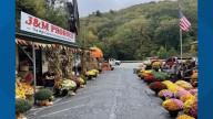 Businesses along Highway 321 in NC recovering in Helene's wake