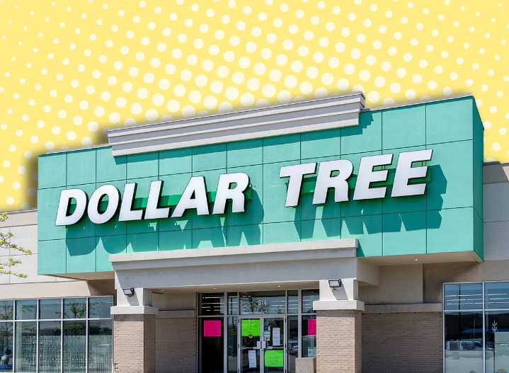 7 Dollar Tree Kitchen Finds So Perfect Shoppers “Keep Going Back for More”