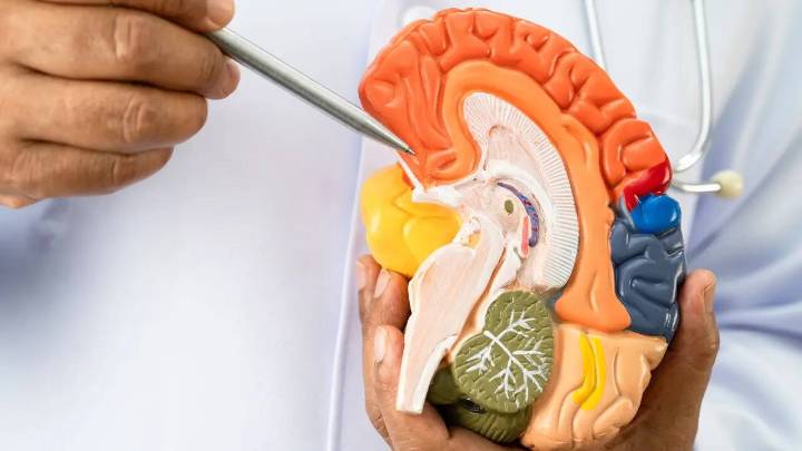 World Alzheimer’s Day 2025: 5 Early Warning Signs of Alzheimer’s Experts Say You Must Know