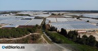 El Gobierno desbloquea las primeras ayudas para que los agricultores dejen de cultivar sus tierras próximas a Doñana