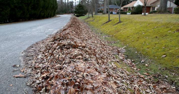 Richmond DPW starting leaf collection in October