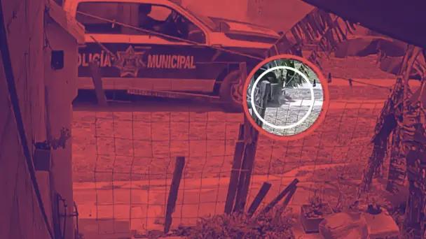 Video muestra a patrulla atropellando a dos perros