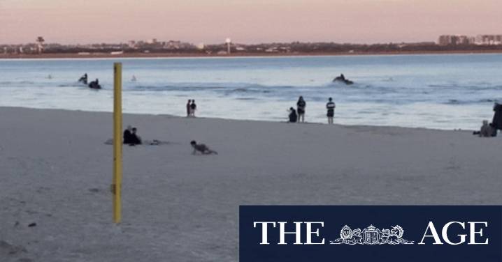 Brighton-le-Sands jet-skiers set to be fined through CCTV: Bayside Council