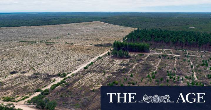 Carbon for Conservation: WA Labor government abandons tree-planting initiative after Woodside pulls out