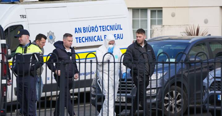 Mum's 'horrible scream' as daughter 'killed by dad' in horror murder