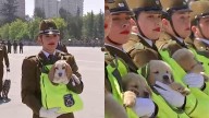 Los perritos de la brigada canina se roban los corazones en la Parada Militar 2025