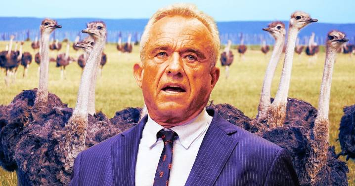 Trump Allies Flock Into Bizarre Canadian Ostrich Farm Fight