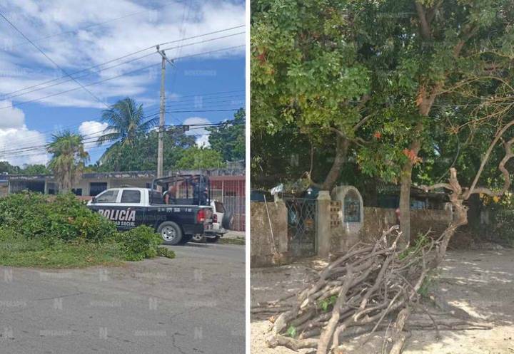Detienen a dos adultos mayores por podar mata de huaya en Chetumal