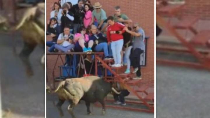 Momentos de pánico en el encierro de Medina del Campo: un toro tira una plataforma para la prensa y deja seis heridos