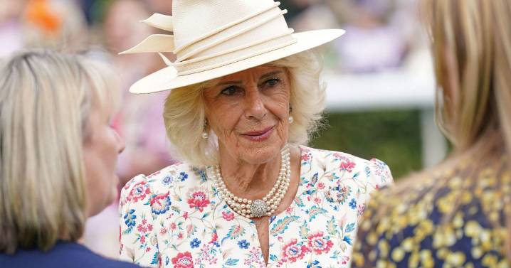 Queen Camilla 'hit man's privates with shoe' as a teenager, new book claims