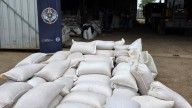 Cayó una banda acusada de robar granos de trenes: secuestraron 60 toneladas de maíz y armas