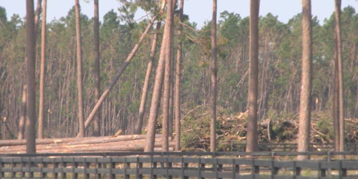 Georgia to receive $531 million federal grant for Hurricane Helene recovery