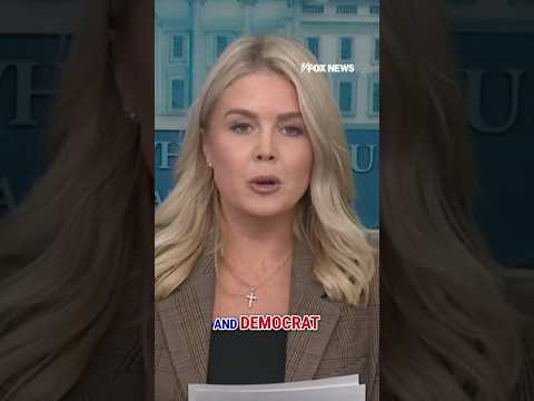 Leavitt: This proves how 'RADICAL' the Dem Party has become #shorts #washington #charliekirk #fox