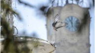SMN: Esperan una semana con ascenso de temperaturas en la región