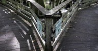 Beidler Forest gets pact on Santee Cooper transmission line
