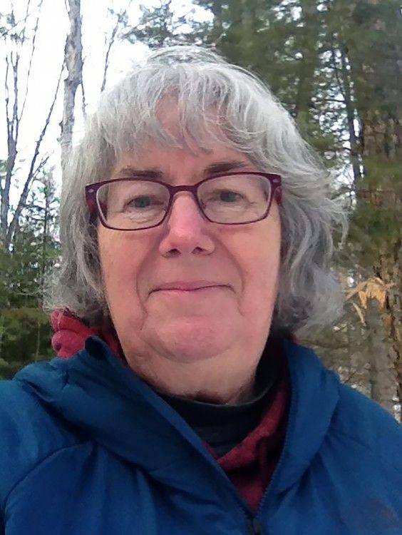 Who's the Scammer? | Kingston/Frontenac This Week