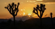 What a government shutdown will mean for Californians, from Social Security to national parks