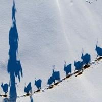 Sweden's Sami fear for future amid rare earth mining plans