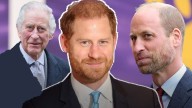 Prince William reportedly blindsided by a private King Charles and Prince Harry meeting